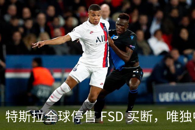 特斯拉全球停售 FSD 买断，唯独中国还卖 6.4 万